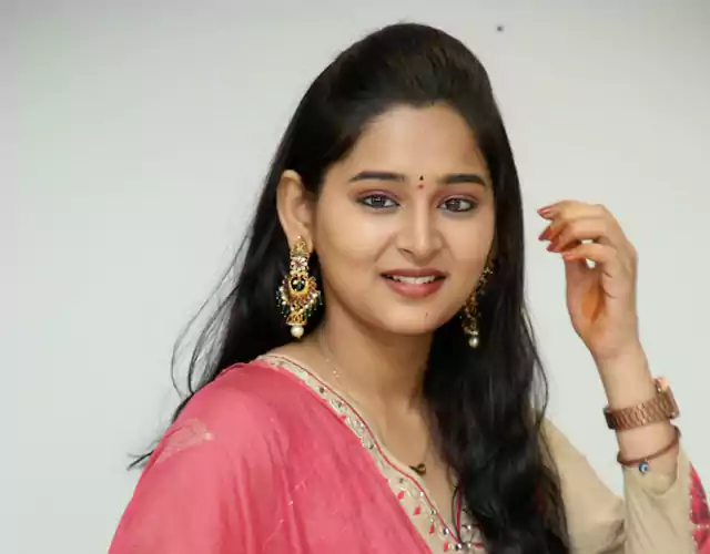 Vasavi Ganesan Beautiful Looks